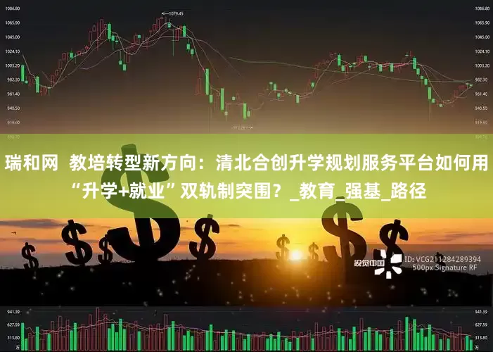 瑞和网  教培转型新方向：清北合创升学规划服务平台如何用“升学+就业”双轨制突围？_教育_强基_路径