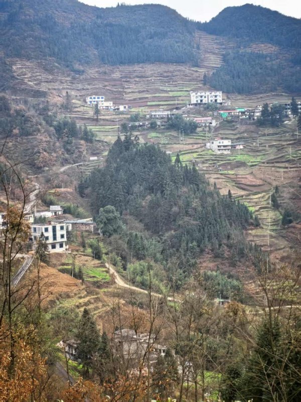 骆驼优配门店 36岁男子偷偷寻亲十年未果，被抖音网友认出：和双胞胎弟弟一模一样