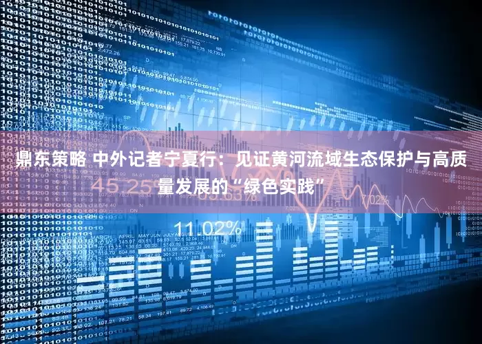 鼎东策略 中外记者宁夏行：见证黄河流域生态保护与高质量发展的“绿色实践”