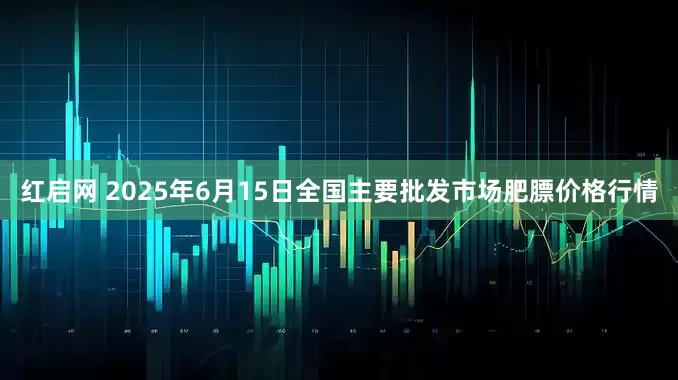 红启网 2025年6月15日全国主要批发市场肥膘价格行情